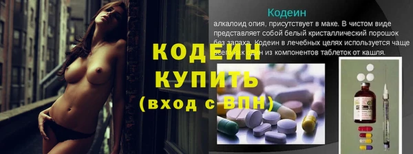 ECSTASY Бородино
