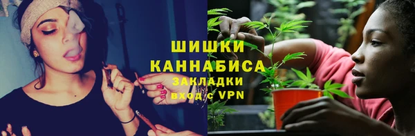 ECSTASY Бородино
