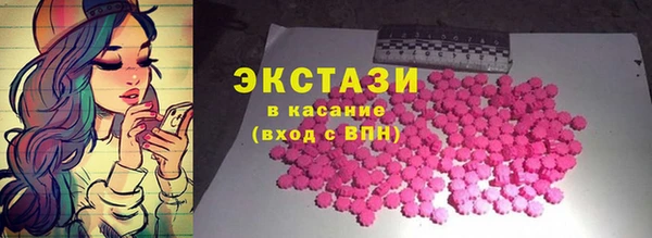 ECSTASY Бородино