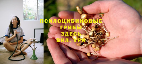 таблы Верхний Тагил