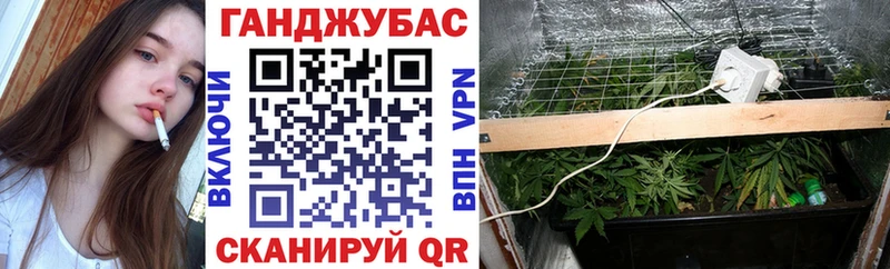 shop Telegram  Киренск  Канабис SATIVA & INDICA 